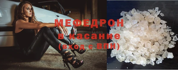 индика Новозыбков