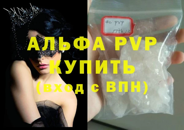 индика Новозыбков