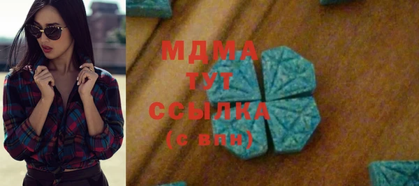 индика Новозыбков