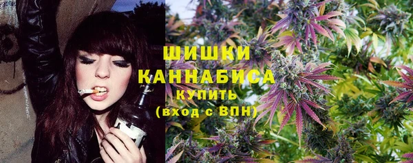 индика Новозыбков