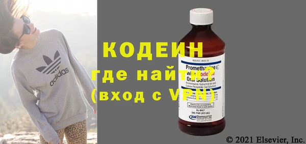 индика Новозыбков