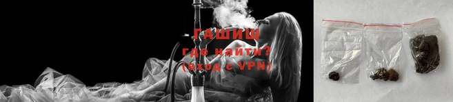 индика Новозыбков