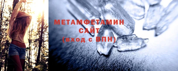 индика Новозыбков