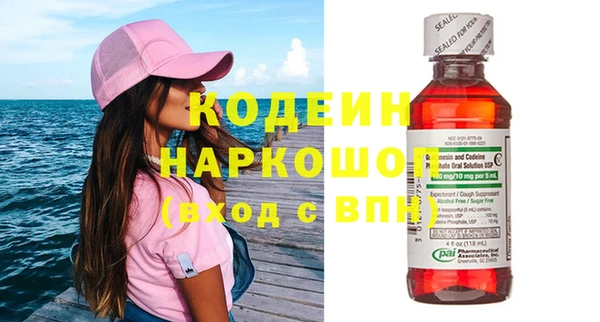 индика Новозыбков