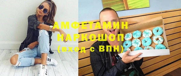 индика Новозыбков