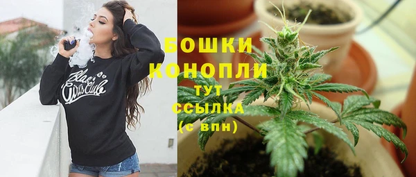 дурь Няндома