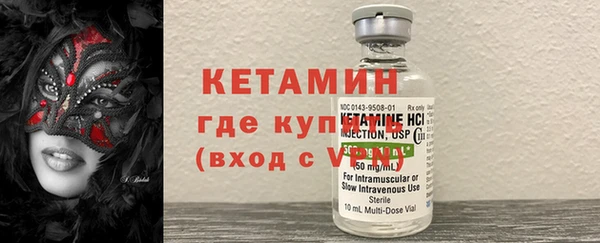 индика Новозыбков