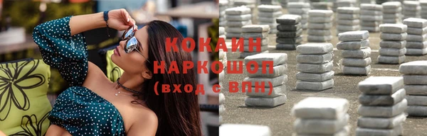 индика Новозыбков