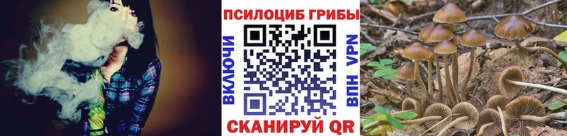 Купить закладки  Константиновск  Псилоцибиновые грибы Psilocybe 